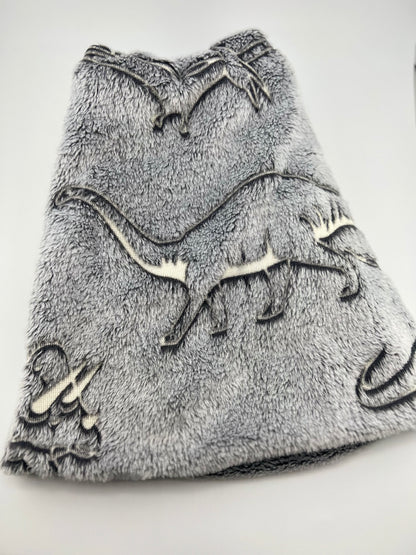 Dino Glow in the Dark