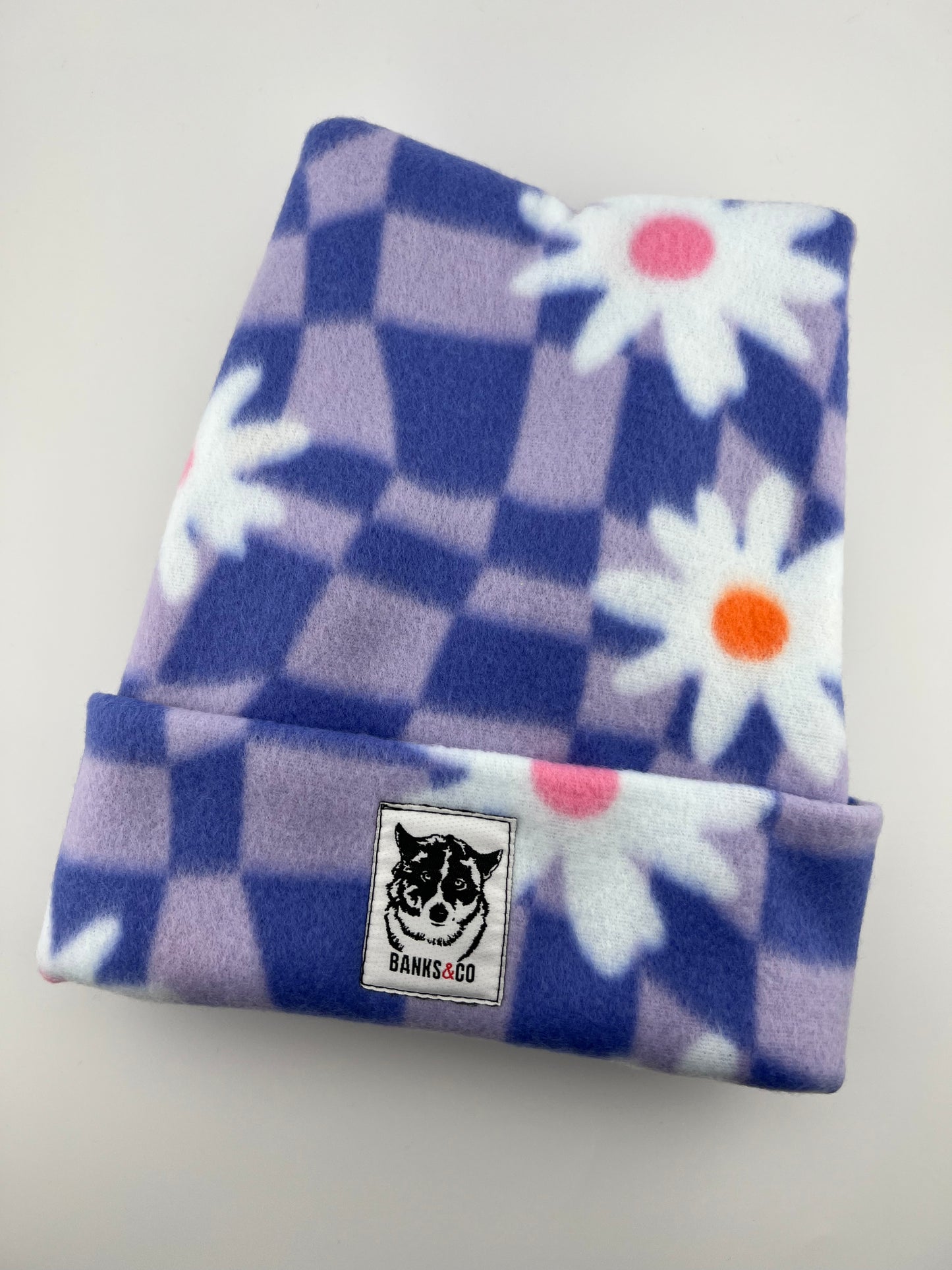 Purple Checkered Daisy