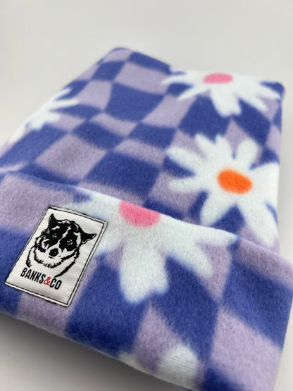 Purple Checkered Daisy