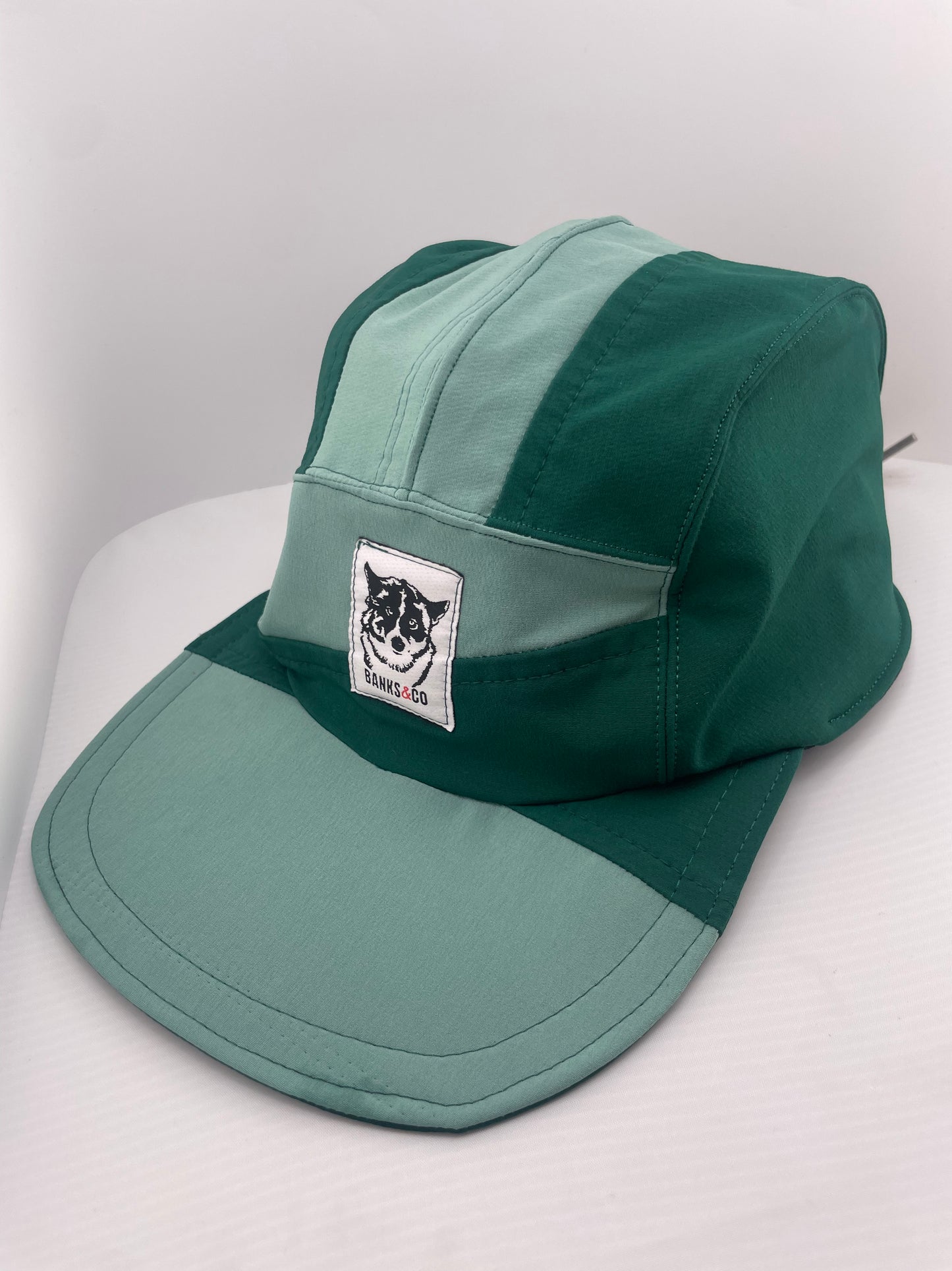 Avatar: Earth/Toph Lace Back Five Panel